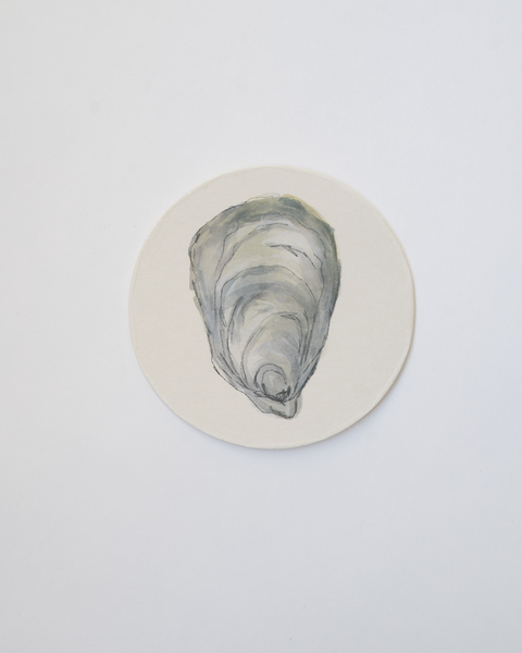 oyster coasters