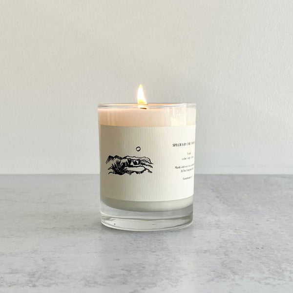land - cedar, sage and grass soy candle