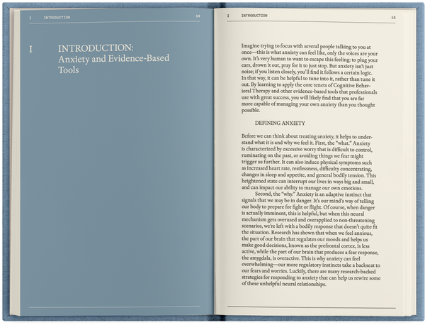 the anti-anxiety notebook