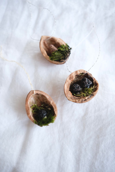 morel walnut ornament