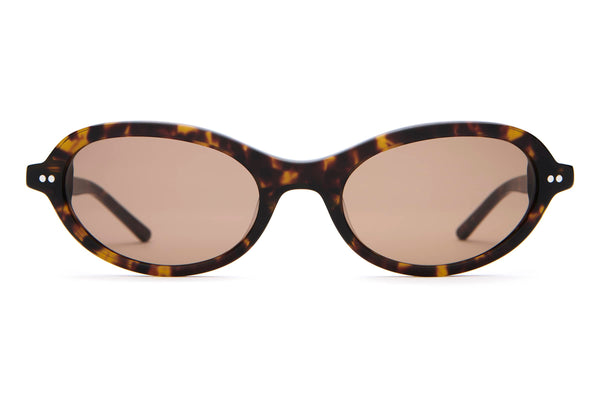 The Marquee Rox - Dark Tortoise Bio