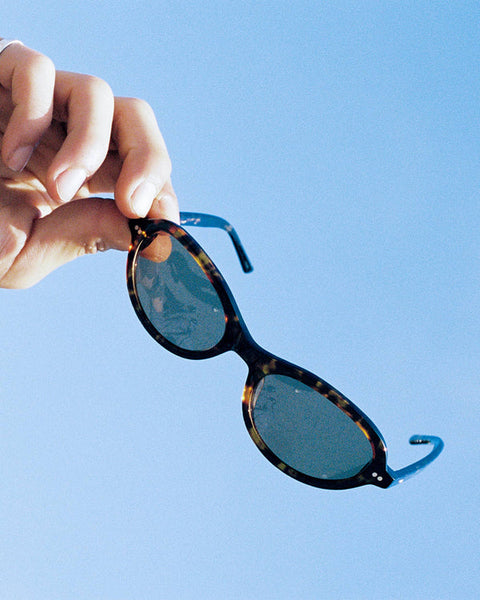 The Marquee Rox - Dark Tortoise Bio