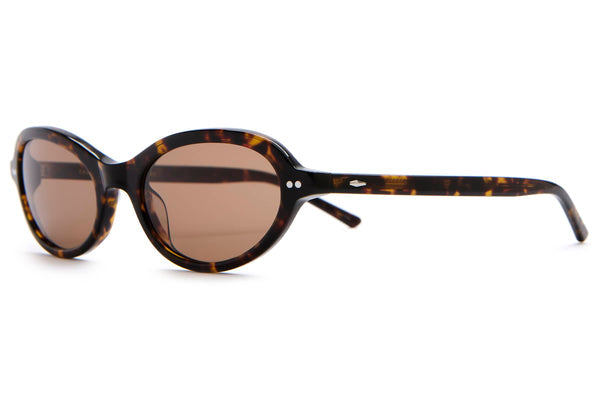 The Marquee Rox - Dark Tortoise Bio