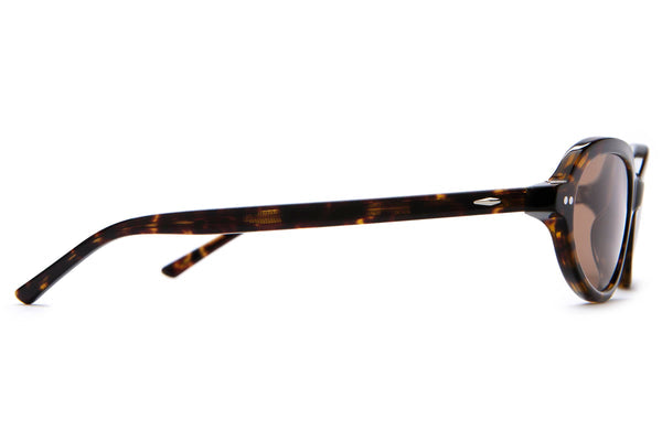 The Marquee Rox - Dark Tortoise Bio